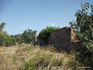 Santa Maria di Nuovaluce